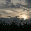 img_1747 img_1747