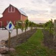 img_1772 img_1772