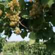 img_1864 img_1864