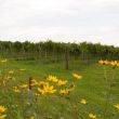 img_3422 img_3422