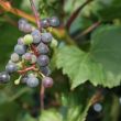 img_3458 img_3458
