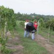 img_3504 img_3504
