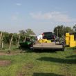 img_3546 img_3546