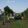 img_3554 img_3554