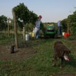 img_3555 img_3555